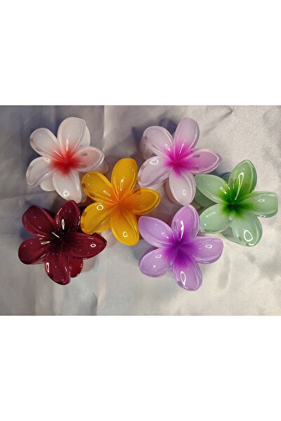 TETHOME 6'LI RENGARENK LOTUS ÇİÇEĞİ MANDAL TOKA 8 cm