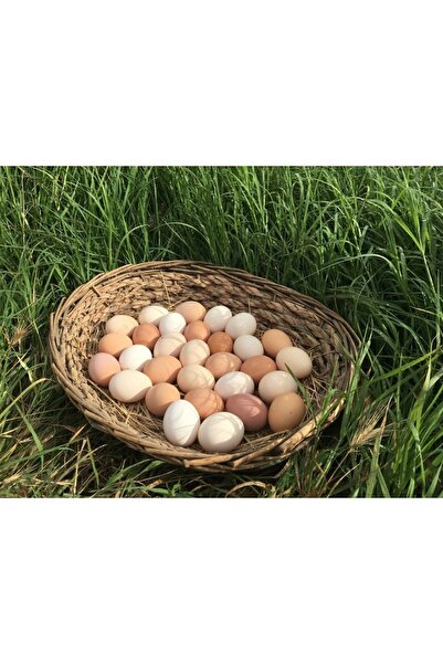 Zeytinli Keçi Çiftliği Gezen Tavuk Yumurtası (30 ADET) Çiftliğimizde Yetişen Ve Tamamen Doğal Şekilde Beslenen Tavuklardan