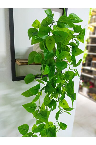 DDTREND Ahşap Çerçeve Raflı Saksıda Sarkan Kalp Yapraklı 5 Dal Sarmaşık Yapay Çiçek