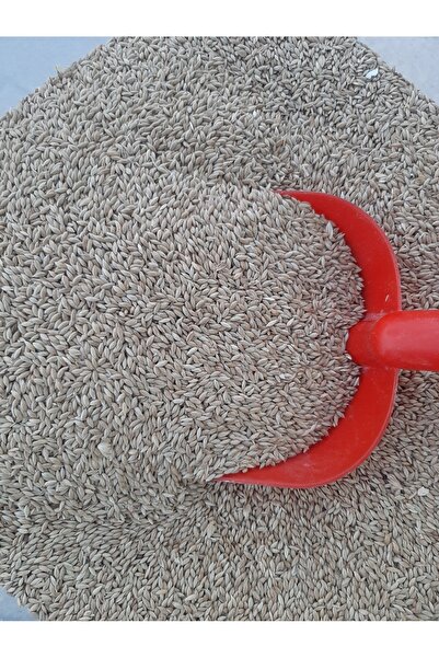 M&H Sade Kanarya Yemi (25KG)