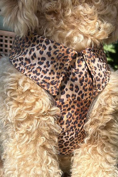 Globodepo Dog Harness Anti-Escape Chest Body Collar with Adjustable Collar Bandana Accessories