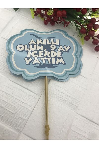 Deniz Party Store BE SMART, 9 MONTHS IN BED - BLUE .... Θεματικό μπαλόνι ομιλίας 5 τεμάχια