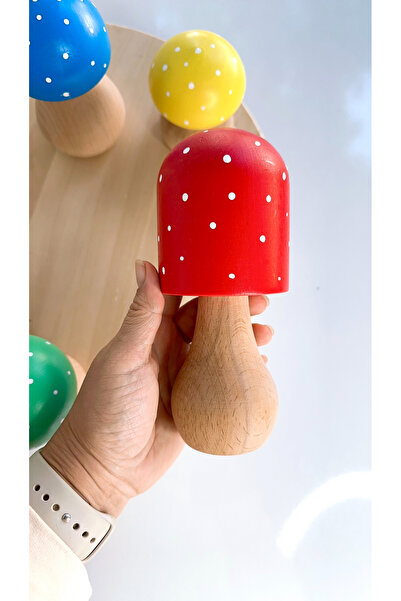 BİLMİŞ ÇOCUK Waldorf Ahşap Büyük Boy Mantar Seti (5 adet)