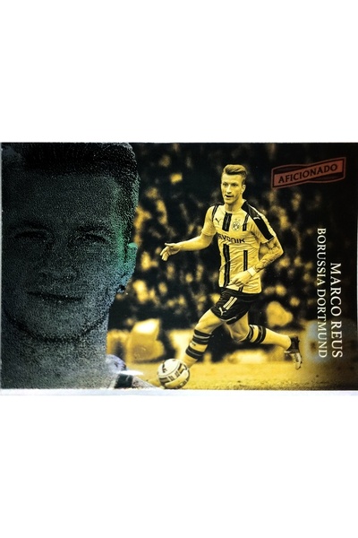 Panini ماركو ريس بوروسيا دورتماند