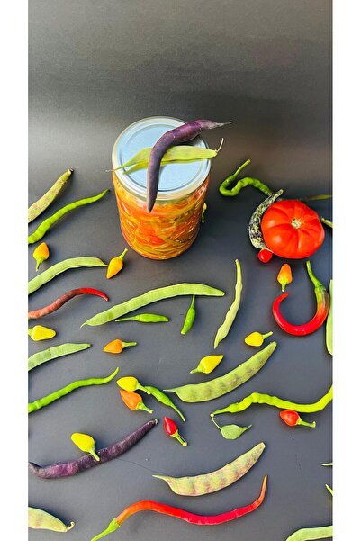 BEE STORY Ev yapımı konserve (Taze fasulye)