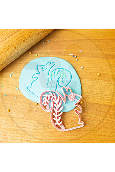 Bi'şeyler Sepeti قالب بسكويت السنجاب الشعبي