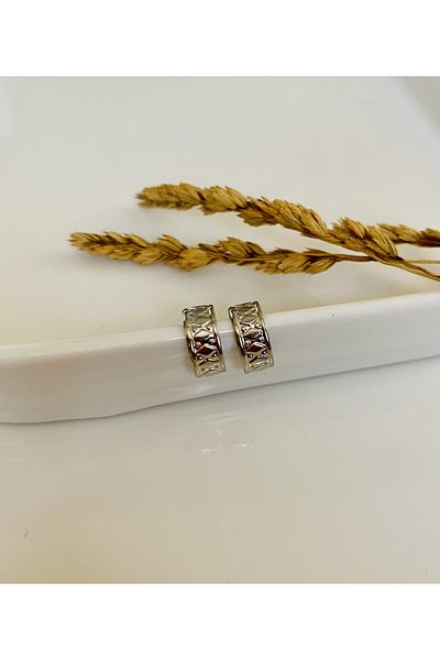 Fynbos Stainless Steel Silver Color Cartilage Earrings & Hair Earrings