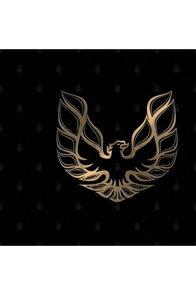 Pixxa كوب بونتياك فايربيرد