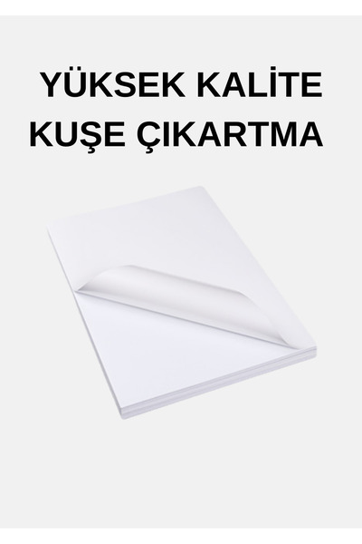 Novita 10 Adet Yapışkanlı Hotmelt Etiket Parlak Kuşe A4 Ebat (EKSTRA YAPIŞKANLI)