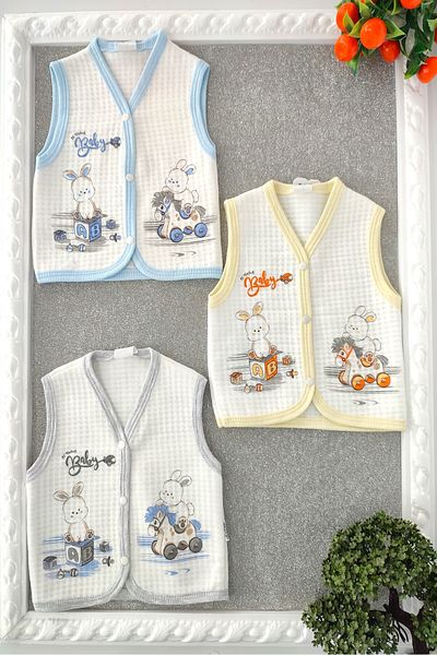 dubi baby Baby Boy Rabbit Patterned 3-Piece Quilted Baby Vest with Snaps on the Front