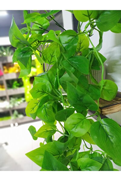 DDTREND Ahşap Çerçeve Raflı Saksıda Sarkan Kalp Yapraklı 5 Dal Sarmaşık Yapay Çiçek