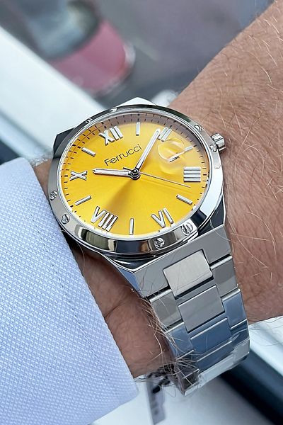 Ferrucci Steel Cord Silver Men's Wristwatch Bracelet Gift Wlg976