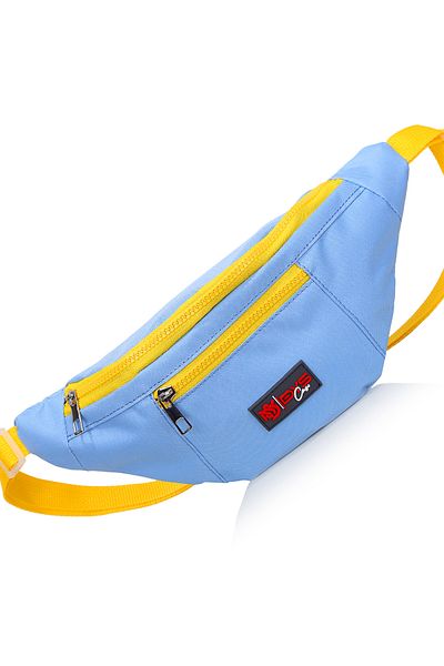DysCase Waist and Shoulder Strap Bag Crossbody Bag Unisex Waterproof 3 L
