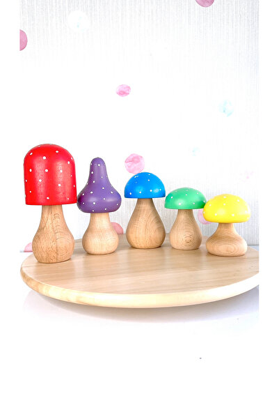 BİLMİŞ ÇOCUK Waldorf Ahşap Büyük Boy Mantar Seti (5 adet)