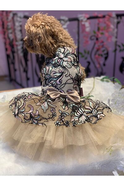 aria pet butik Çok Renkli Köpek ve Kedi Abiye Tütü Elbise, Şık ve Renkli Tasarım