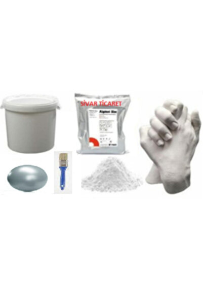 Sivar Gümüş Akrilik Yaldız Boyalı Aljinat Kalıp El Heykeli Kalıbı Tozu Ve 1 Kg Hızlı Donan Alçı