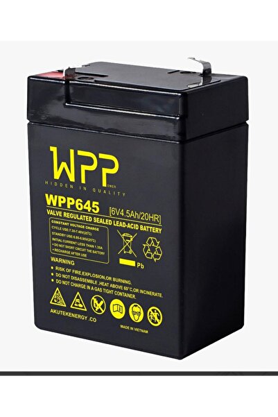 WPP 6V 4.5Ah Bakımsız Kuru Akü