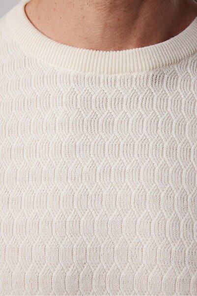 Tudors Erkek Slim Fit Dar Kesim Bisiklet Yaka Kendinden Desenli Ekru Triko Kazak