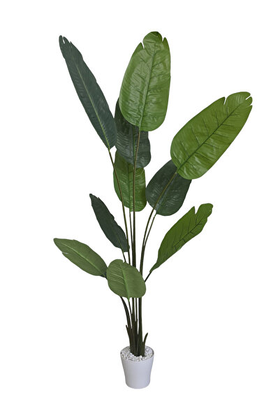 Bahçem شجرة صناعية شجرة موز نجمة صناعية مع وعاء ديكور خشبي 200 سم