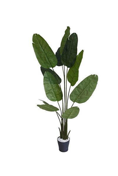 Bahçem Artificial Tree Banana Tree Artificial Starlice with Wooden Decorative Pot 200cm
