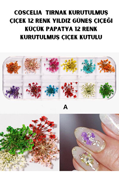 Coscelia Tırnak Kurutulmuş Çiçek 12 renk Nail Art Akvaryum Dizayn Kurutulmuş ...