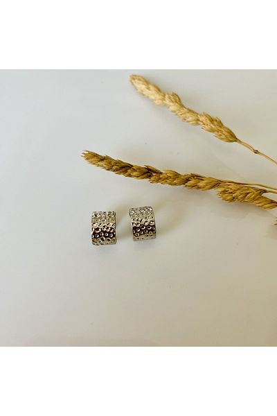 Fynbos Stainless Steel Silver Color Cartilage Earrings & Hair Earrings