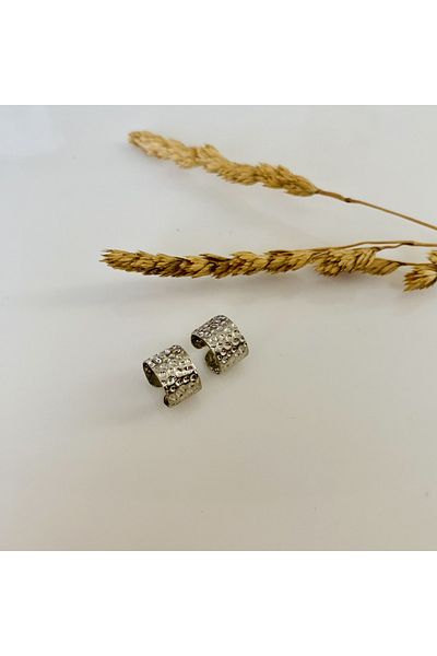 Fynbos Stainless Steel Silver Color Cartilage Earrings & Hair Earrings