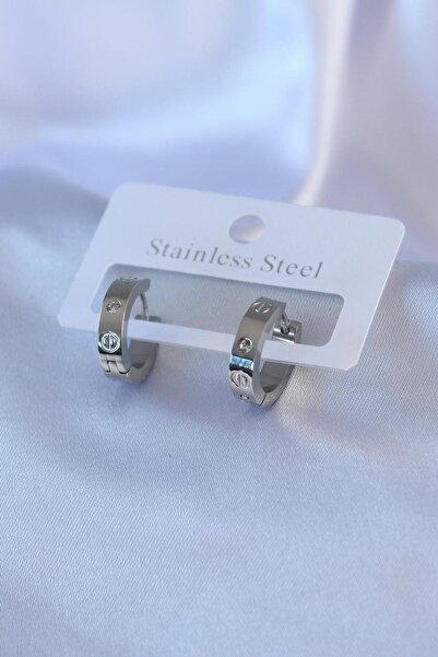 Clariss Çelik Gümüş Renk Kadın Küpe