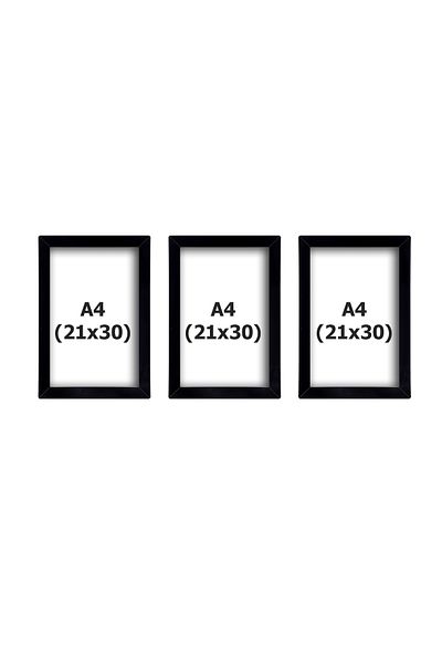 ropİİ 3 Pcs 21X30 Frame Black - 3 Pcs Photo Frame - A4 Frame