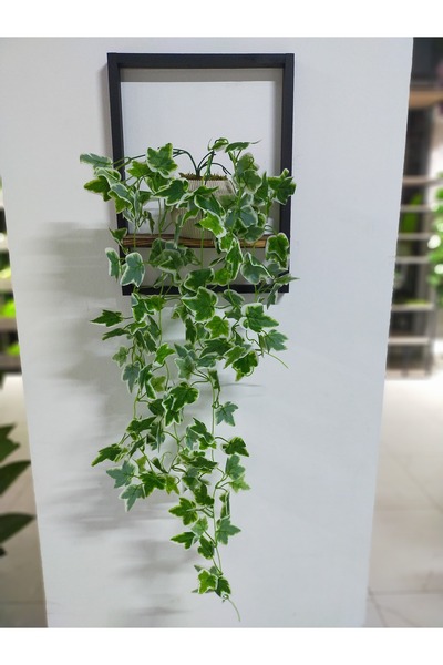 DDTREND Ahşap Çerçeve Raflı Saksıda Sarkan Yeşil Beyaz Hadera Yaprağı 5 Dal Sarmaşık Yapay Çiçek