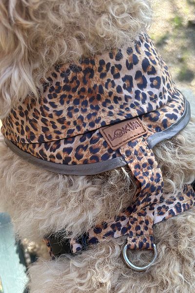 Globodepo Dog Harness Anti-Escape Chest Body Collar with Adjustable Collar Bandana Accessories