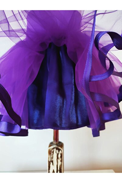 LULLY KİDS Fusta tutu din tul pentru fete, căptușită în mov, 29 octombrie 23 aprilie