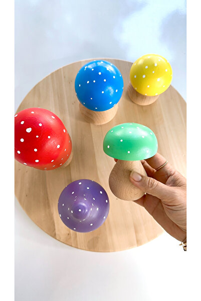 BİLMİŞ ÇOCUK Waldorf Ahşap Büyük Boy Mantar Seti (5 adet)