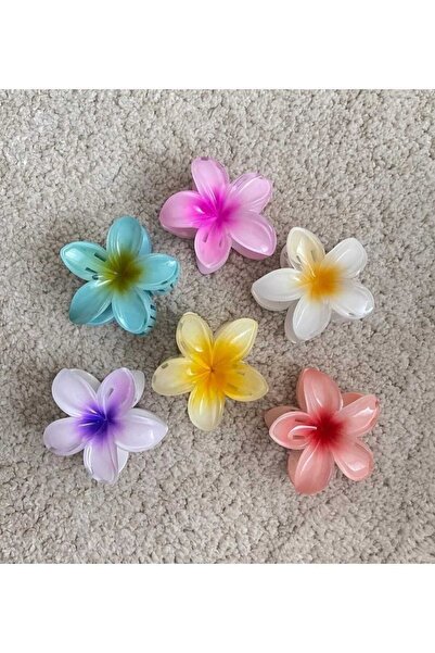 TETHOME Orta Boy 6'lı Rengarenk Lotus Çiçeği Mandal Toka 6 Cm