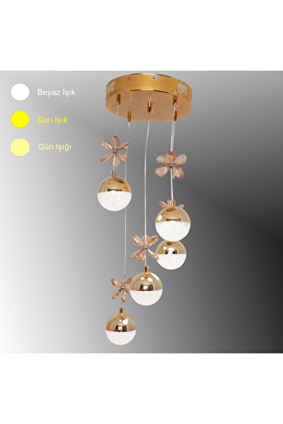 TT AYDINLATMA TT033-5-SR TT Aydınlatma Kelebek Toplu Model Sarı Kaplama 5 li ...