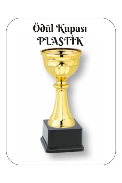 ONEF KİŞİYE ÖZEL ÖDÜL KUPASI 20 CM PLASTİK