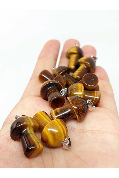 Yasamtohumu Капсула з каменем «око тигра» у формі гриба (42710)