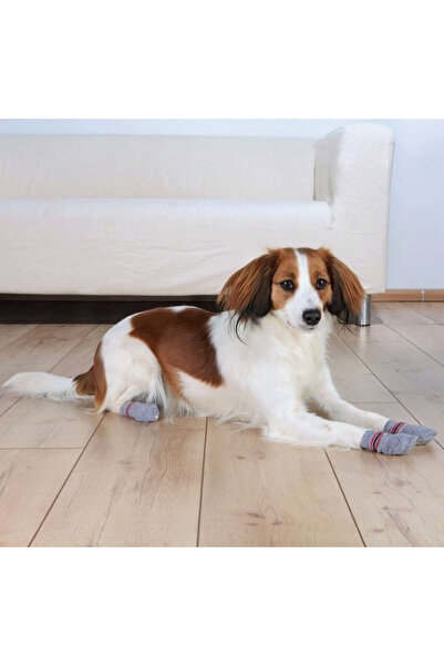 Trixie Border Collie 21051 - șosete antiderapante pentru câini, 2 bucăți, S-M