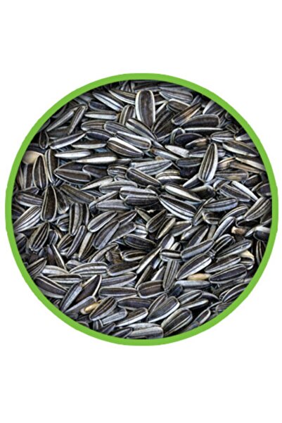 grpet Küçük Cizgili Çekirdek 500 Gr