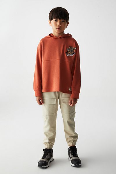 nk kids NK KİDS 45321 ΑΓΟΡΙΚΟ ΠΛΑΚΑΚΙ TIGER SWEAT