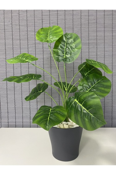 Bahçem Dekoratif Yapay Yapraklı Deve Tabanı Montera Salon Çiçeği 60cm 12 Yaprak