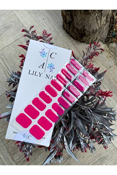 Lily Nail Kalıcı Oje / 3d Jel Tırnak