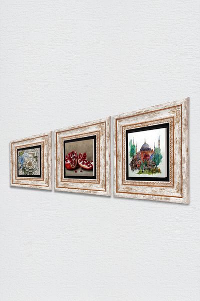 Pinecone Istanbul Hagia Sophia, Butterfly Flower, Pomegranate Stone Wall Painting Framed Wall Decor Set of 3 Tk3-1145