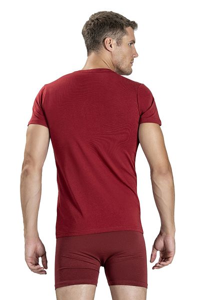Jiber Ανδρικό μπλουζάκι με κουμπιά Claret Red 128