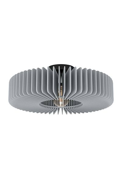 Eglo 900832   - Black Cast Steel Ceiling Lamp, Palombaia Indoor, Ip20 E27 Max: 1X40W Diameter: 50