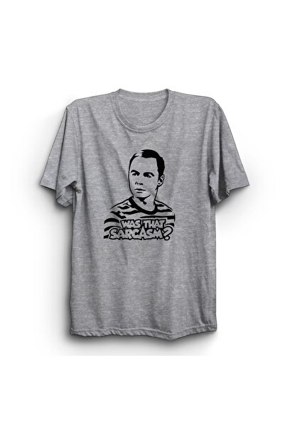 The Fame Teorija velikog praska, Šeldon Kuper, da li je to bio sarkazam? Maji...