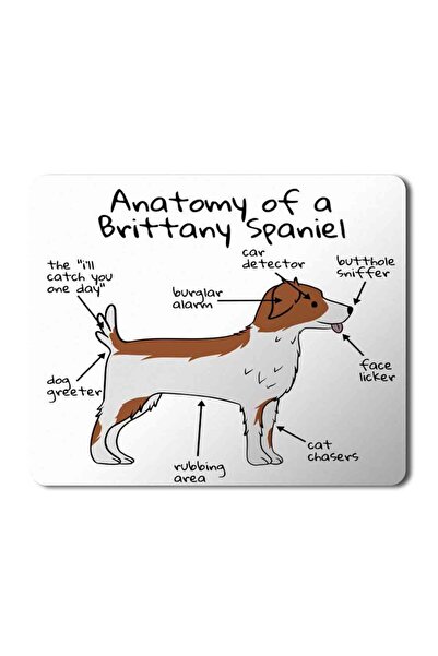 ART HEDİYE Anatomija psa Britanijski španijel Anatomija Štampano Podloga za m...