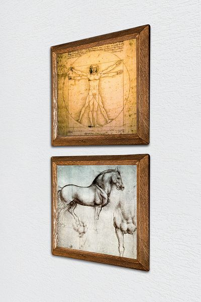 Pinecone Leonardo Da Vinci Vitruvian Man, Horse Statue Stone Wall Painting Framed Wall Decor -W2-314-