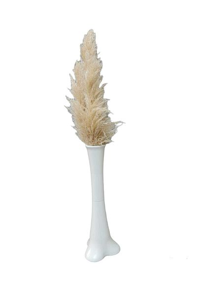 Cennet Home Elephant Foot Mica Vase 60 cm