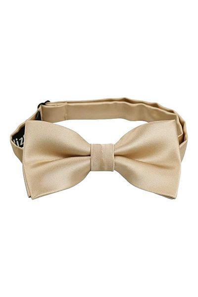 Trenderrs Boy's Satin Bow Tie